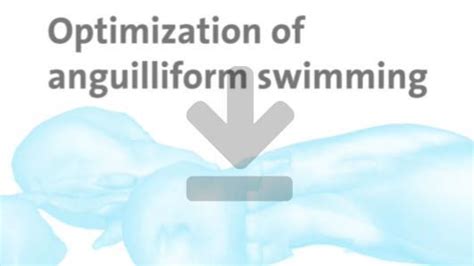 Optimal anguilliform swimming | cse-lab