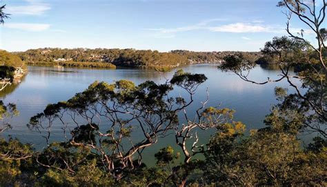 Oatley Park Circuit Oatley Sydney Hiking Scenery