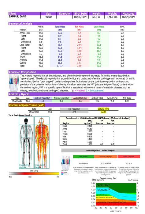 All About The Dexa Body Composition Scan