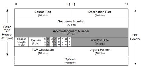 Tcp协议深入解析 Csdn博客