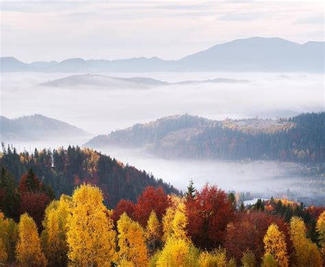 Premium Photo | Autumn landscape with forest and mountains