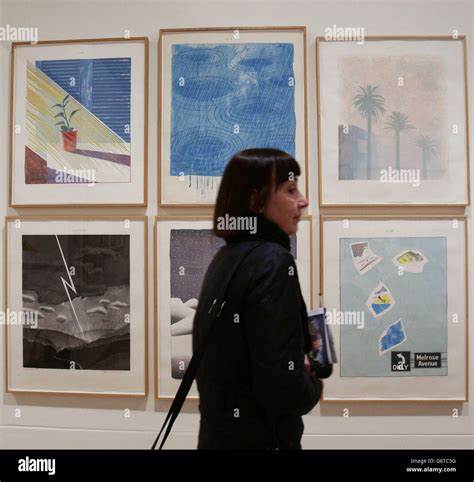 A Visitor Walking Past Works By David Hockney Hi Res Stock Photography