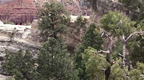 Grand Canyon Hikers Scream As Woman Plunges 100ft To Her Death While