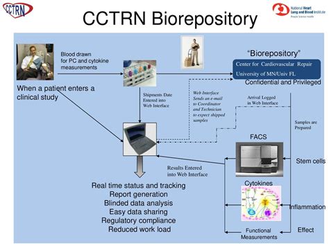 Effect Of Transendocardial Delivery Of Autologous Bone Marrow