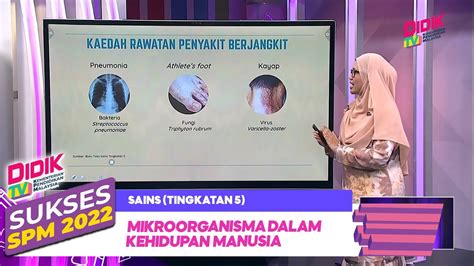 Sukses Spm Sains Tingkatan Mikroorganisma Dalam Kehidupan