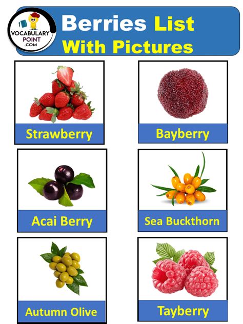 List of Berries (Berries Names With Pictures) - Vocabulary Point