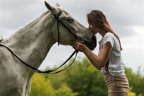 Cómo Dar Cuerda A Un Caballo Trabaja A La Cuerda De Forma Correcta