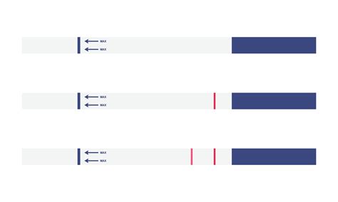 Set Of Pregnancy Test Results Vector Illustration Pregnancy Positive