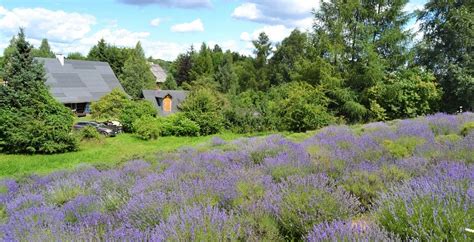 Warmia Z Dzieckiem Dzieciochatki Pl