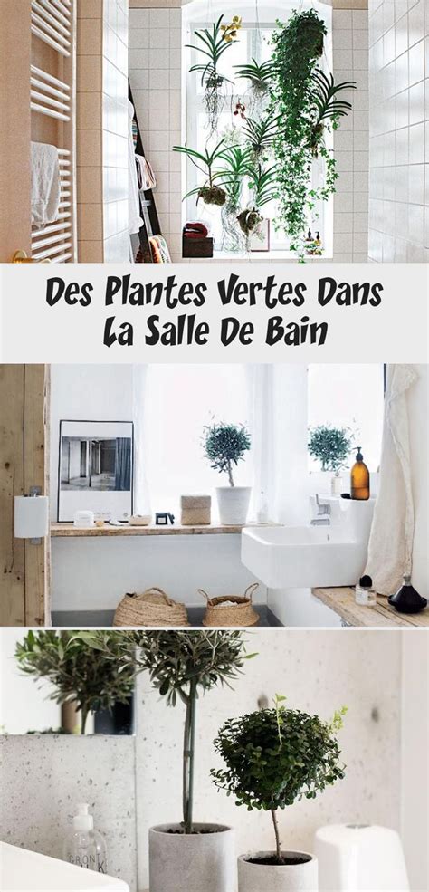 Des Plantes Vertes Dans La Salle De Bain Recettes Blog In Home