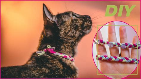 Diy Cat Collar From Old Clothes No Sewing Needed Youtube