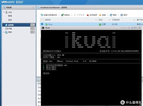 J Esxi Ikuai Openwrt