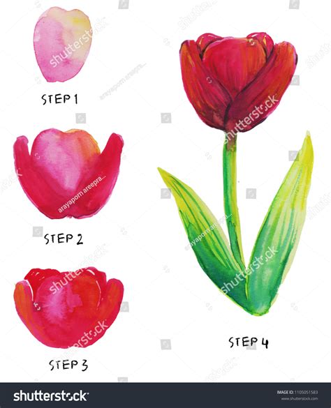 Easy Tulip Watercolor Tutorial Way How Ilustrações Stock 1105051583