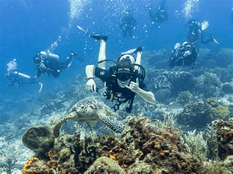 Introducir Imagen Buceo En Mexico Cozumel Abzlocal Mx