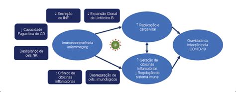 Scielo Brazil Altera Es Da Eca E Fatores De Risco Para Gravidade