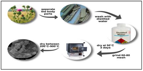 Molecules Free Full Text Adsorption Of Basic Yellow 28 And Basic Blue 3 Dyes From Aqueous