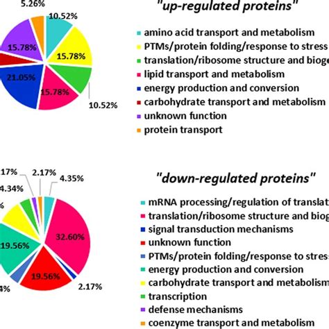 Cog Clusters Of Orthologous Groups Function Classification Coverage