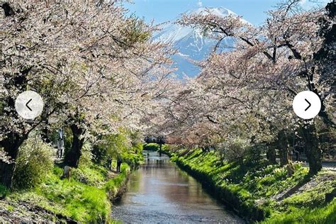 Mt Fuji Hakone Full Day Private Tour With English Driver Guide