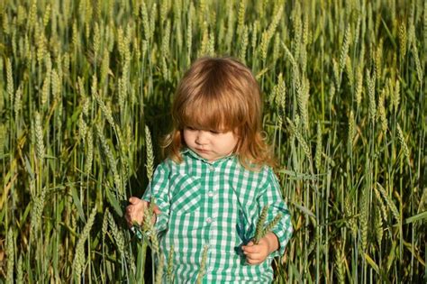 Retrato de un niño pequeño en un campo de trigo al aire libre en la