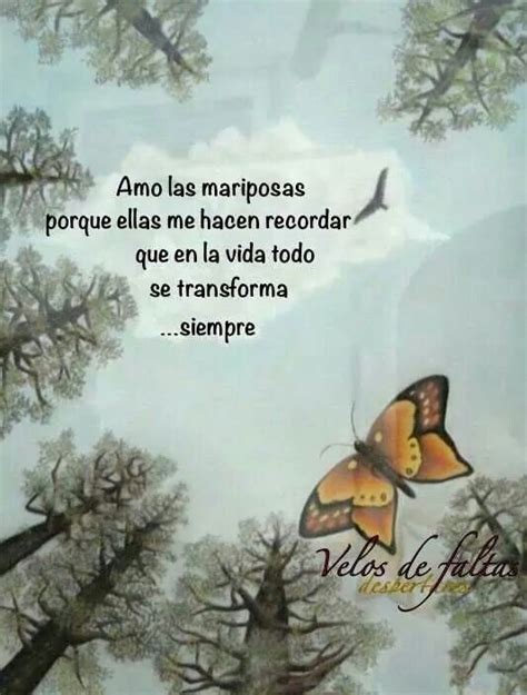 Por Eso Amo Las Mariposas Con Im Genes Frases Frases Mariposas