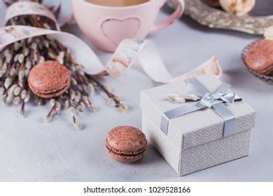 1 Hundred French Pussy Willow Royalty Free Images Stock Photos