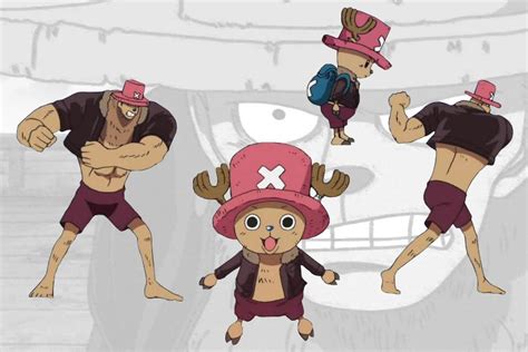 Datei Chopper Icehunter B Opwiki Das Wiki F R One Piece