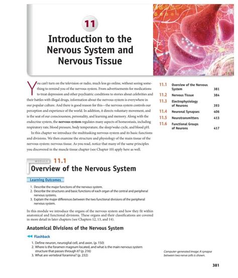 introduction  physiology  nervous systemppt
