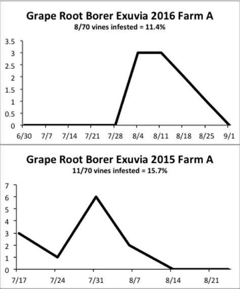 Grape Root Borer Do I Need To Treat — Plant And Pest Advisory