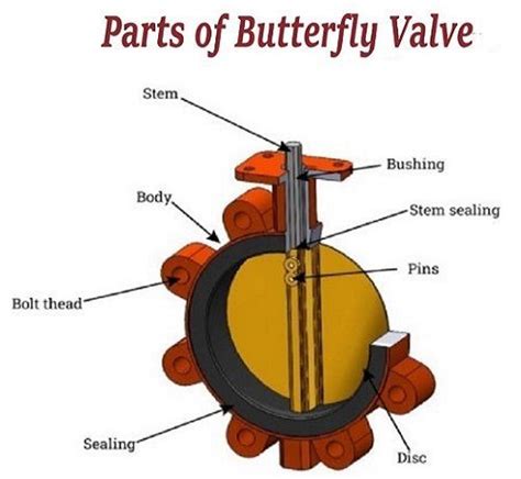 How Does A Butterfly Valve Work Butterfly Valve Valve Fluid Flow