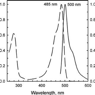 Normalized Absorption Dashed Line And Fluorescence Solid Line