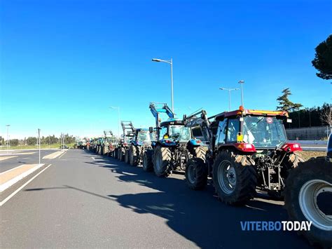 Agricoltori In Rivolta Anche A Viterbo Bloccata La Cassia Nord