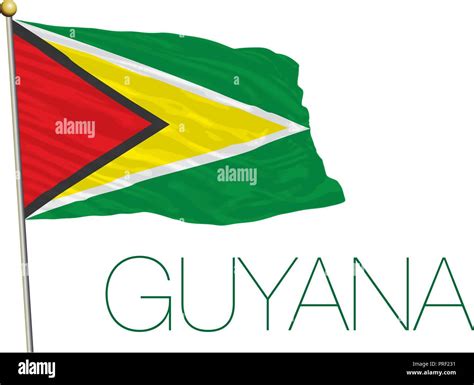 Bandera Oficial De Guyana Ilustraci N Vectorial Imagen Vector De Stock