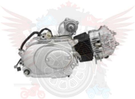 Двигатель 4х такт. 50 см3 Альфа Задиак 1Р39 НЕ = 49,9 (С50)