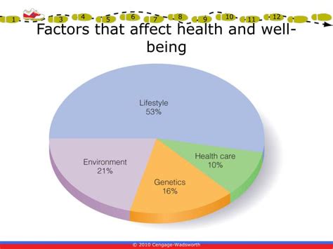 Ppt Chapter 1 Physical Fitness And Wellness Powerpoint Presentation