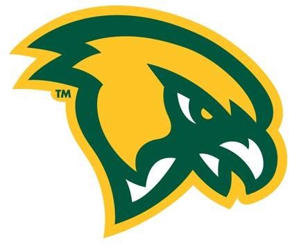 Fitchburg State University Falcons Mascotdb