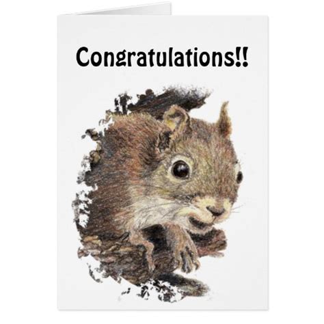 Funny Congratulations With Cute Squirrel Animal Greeting Card Zazzle