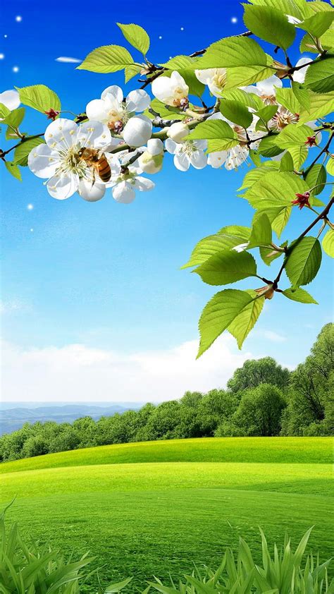 Nature Wallpaper Greenery Images