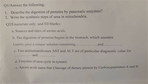 Answered Describe The Digestion Of Proteins By Bartleby