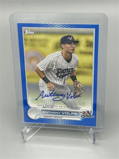 Topps Pro Debut Pd Anthony Volpe Auto Blue New York