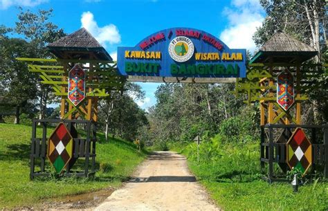 Hal Tentang Bukit Bangkirai Balikpapan Kawasan Hutan Lindung Asri