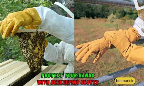 Protect Your Hands With Beekeeping Gloves 𝗕𝗲𝗲 𝗣𝗮𝗿𝗸