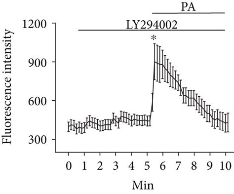 LY294002 Abolishes Palmitate Induced ENaC Activity But Does Not Affect