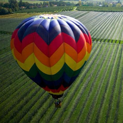 Pin By Sharon Mcclung On Hot Air Balloons Hot Air Hot Air Balloon