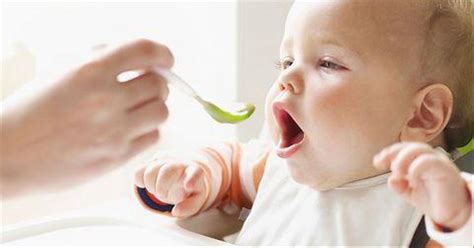 Как приготовить мясное пюре для грудничка | PARENTS