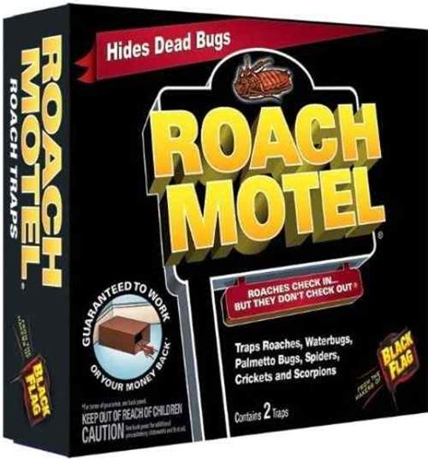 Best Pet Friendly Roach Killer Products Of All Time In