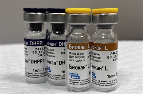 Прививки, вакцины Биокан для собак в Ростове