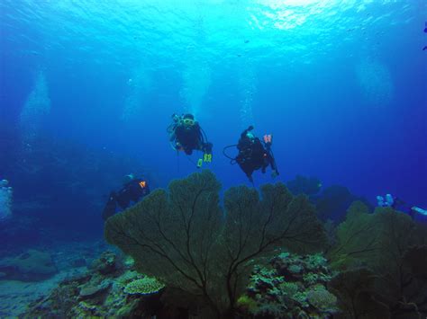 Tioman Scuba Diving Weekends From Singapore Padi Trips And Courses