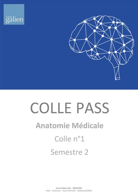 SOLUTION Qcm Anatomie Des Membres Sujet Studypool