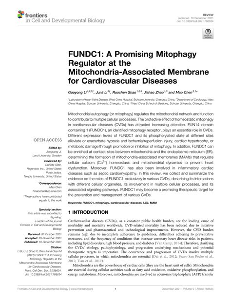 (PDF) FUNDC1: A Promising Mitophagy Regulator at the Mitochondria ... 