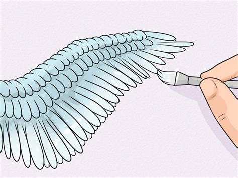 How to Draw Wings: 12 Steps (with Pictures) - wikiHow